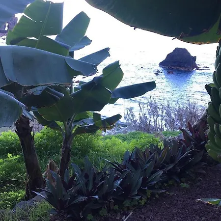 Unique Canarian 1700s - Casa Salvia Las Aguas - Ocean & Natural Pools 150m - Whole Gated House Holiday home