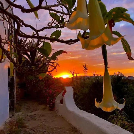 Holiday home Unique Canarian 1700s - Casa Salvia Las Aguas - Ocean & Natural Pools 150m - Whole Gated House