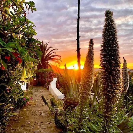 Unique Canarian 1700s - Casa Salvia Las Aguas - Ocean & Natural Pools 150m - Whole Gated House San Juan de la Rambla